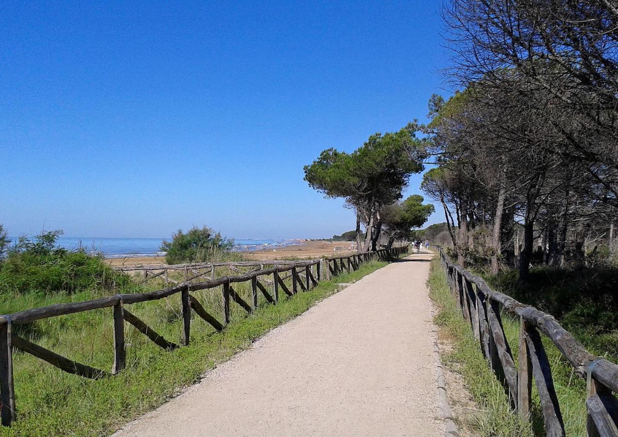 דירות ביביונה Torcello מראה חיצוני תמונה